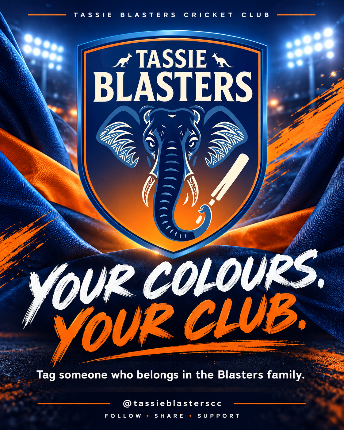 Tassie Blasters blue and orange club artwork